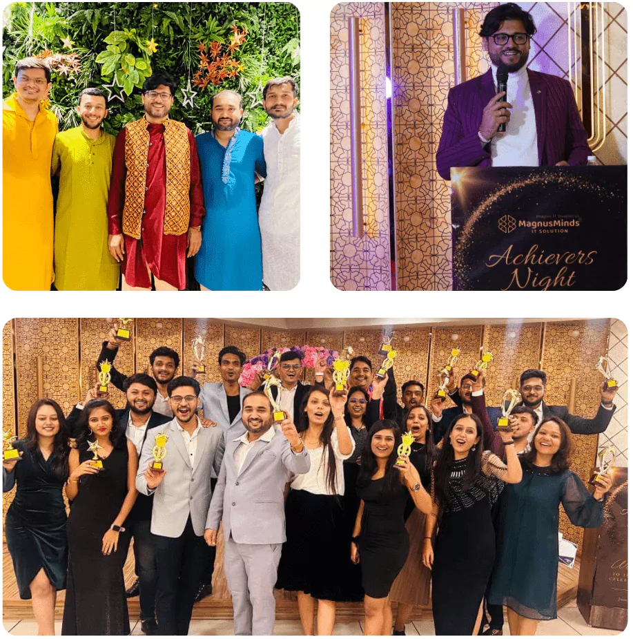 overview_magnusminds_IT_solutions